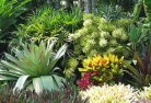 Chisholm ACTsustainable-landscaping-3.jpg; ?>